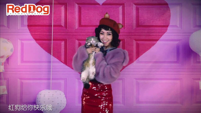 王蓉 - Red Dog